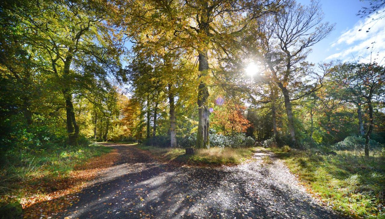 Loch Lomond Finnich Cottages Drymen Kültér fotó