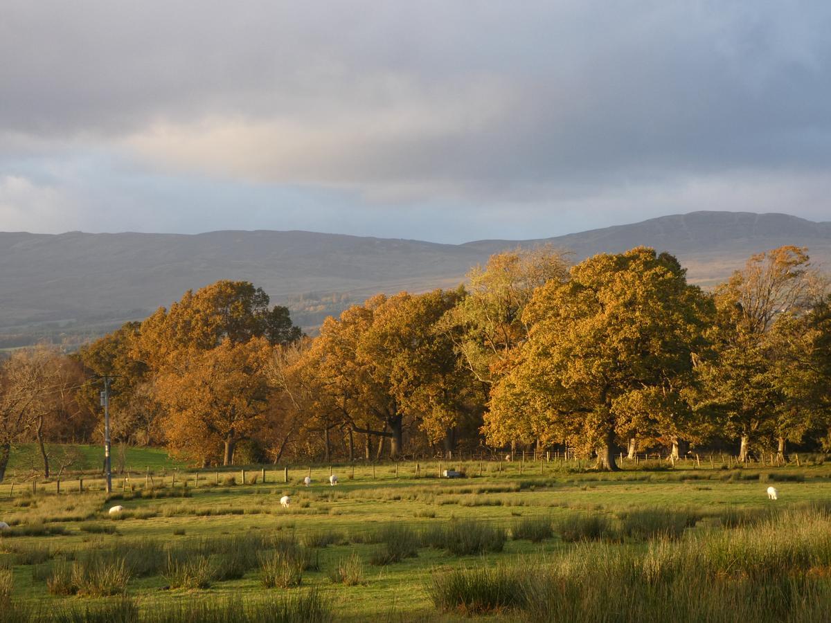 Loch Lomond Finnich Cottages Drymen Kültér fotó